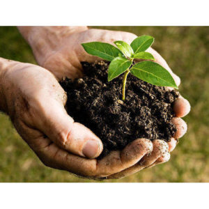 Explain the Development Trend of Bio-Organic Fertilizer!